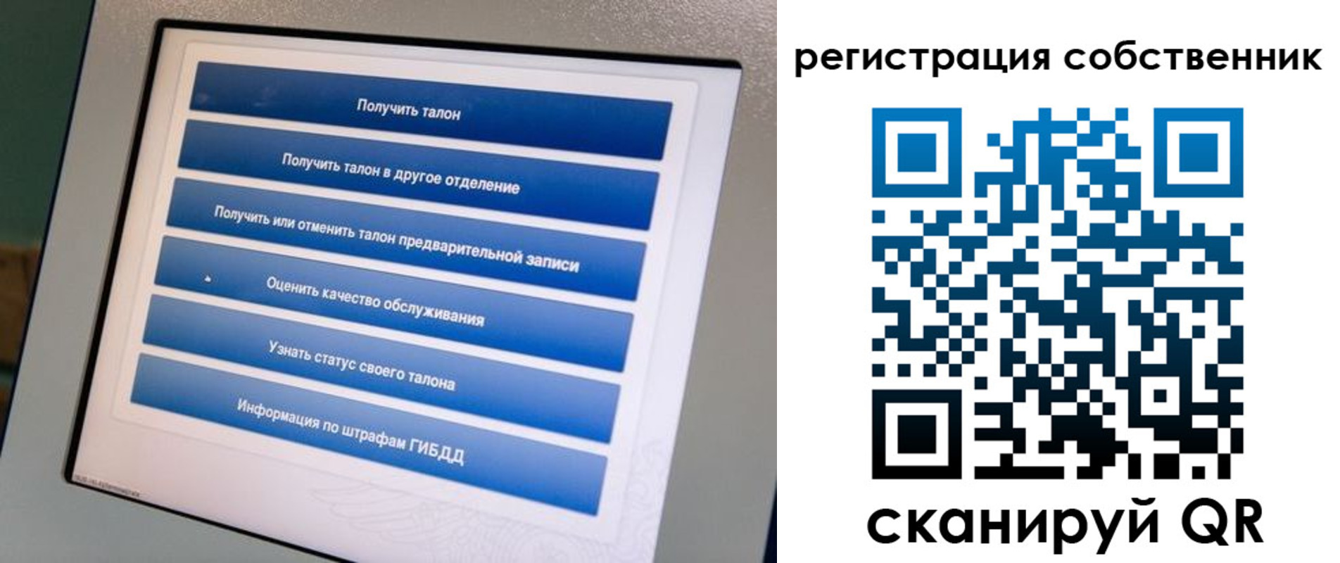 прописка для школы в Калининграде